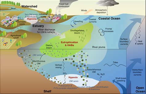 The Oceanic Impact of Climate Change: Exploring the Rising Threat of ... 