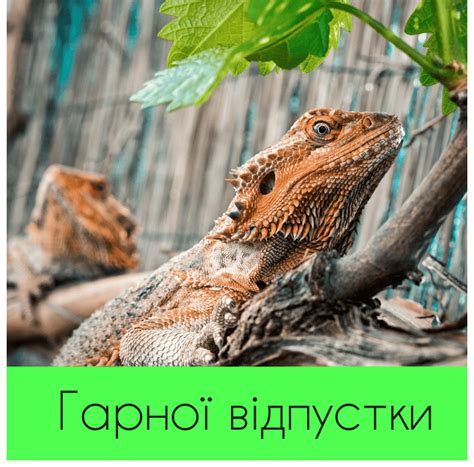 Гарної відпустки та відпочинку картинки та побажання