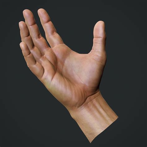 Realistic Male Hand Obj Preview201407