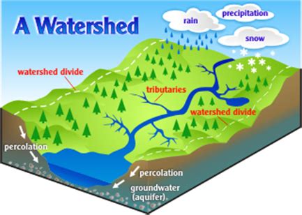 World of Water: A Watershed Moment - Preservation Parks of Delaware County