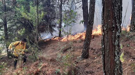 Incendios Forestales Acaban Con M S De Hect Reas En Michoac N