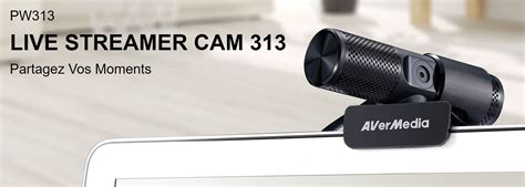 Webcam AVerMedia CAM 313