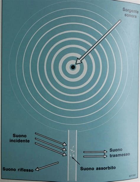 Propagazione Del Suono Elementi Silenziocasa