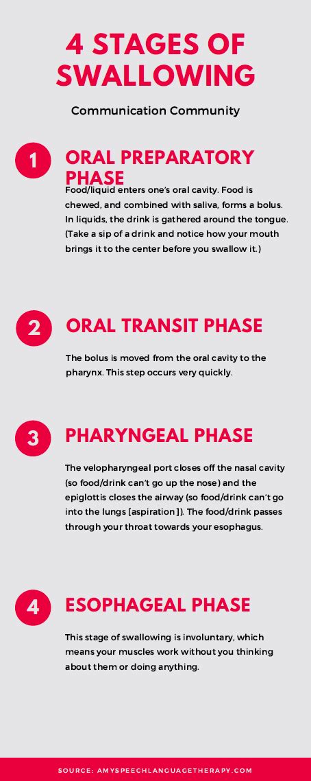 Dysphagia Stages