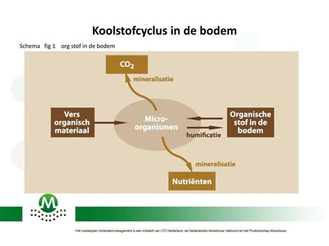 Ppt Organische Stof De Basis Voor Een Duurzame Teelt Powerpoint