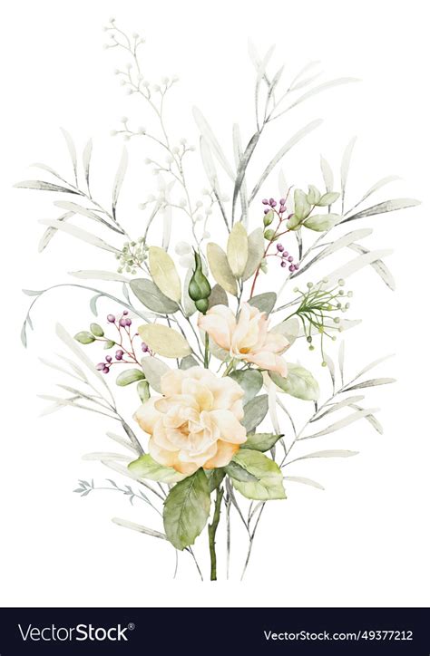 Watercolor Floral Branch Elements Royalty Free Vector Image