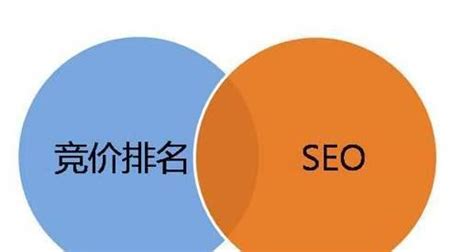 从布局到外链建设缺一不可（打造完美的seo策略） 8848seo