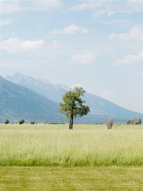 Snake River Ranch Wy Wedding Braden Young Photo