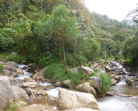 Parque El Salado: Envigado's Secret Tranquility