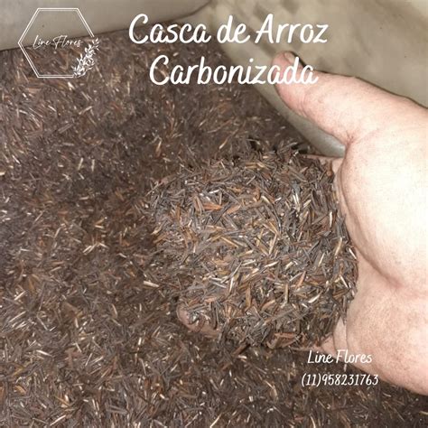 Substrato Casca De Arroz Carbonizada 200g Shopee Brasil