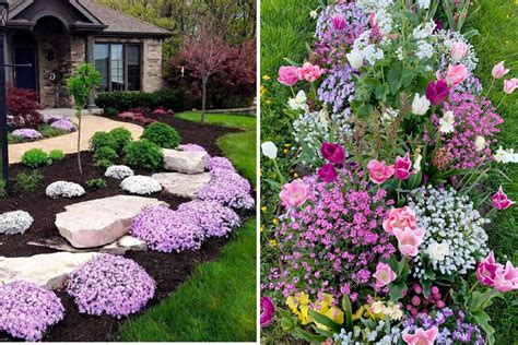 30 Stunning Flower Bed Ideas to Transform Your Garden - Garden Ideas