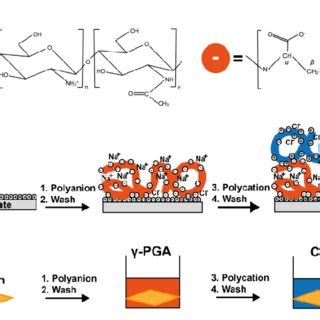 A Molecular Units Of Both Polymers Used In The Polyelectrolyte