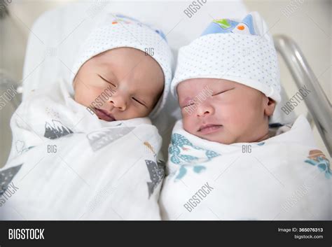 Newborn Twins Sleeping Image And Photo Free Trial Bigstock