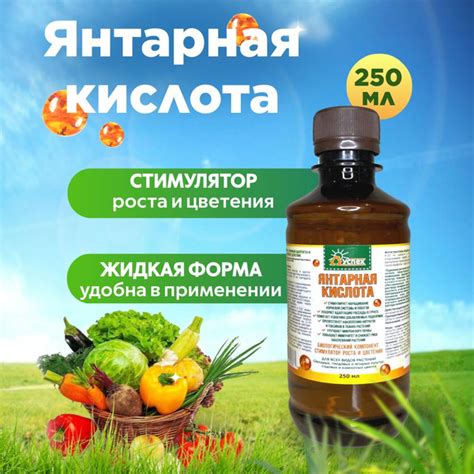 Янтарная кислота, жидкая, концентрат - купить с доставкой по выгодным ...