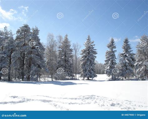 Sunny Winter Day Stock Photo - Image: 4407900