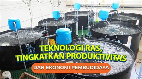 Mengenal Teknologi Ras Recirculation Aquaculture System Masa Depan