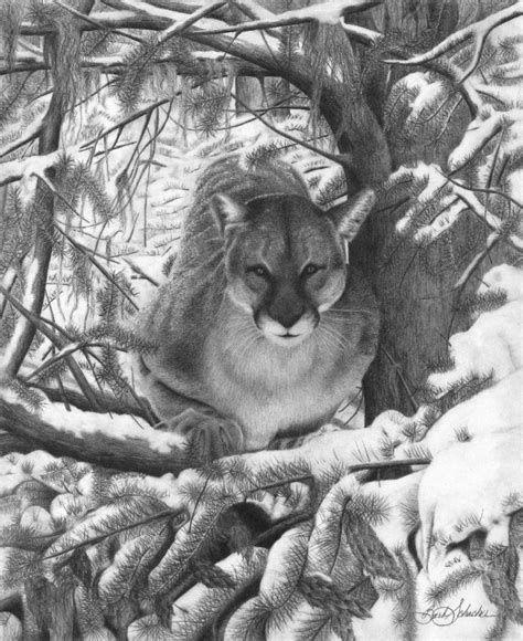 “Mountain Lion Hideout” – Barb's Western Art