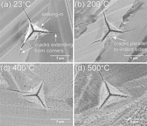 A Representative Selection Of Sem Micrographs Illustrating Indent