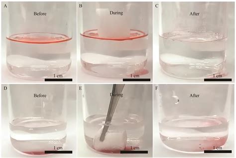 Design And Preparation Of Flame Retardant And Hydrophobic Melamine Foam