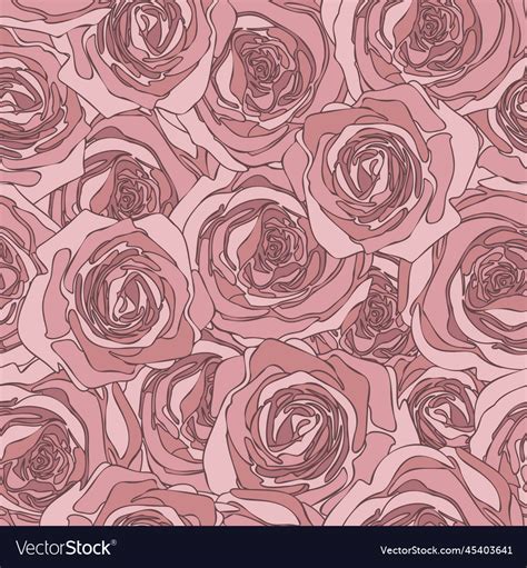 Rose Colour Backgrounds