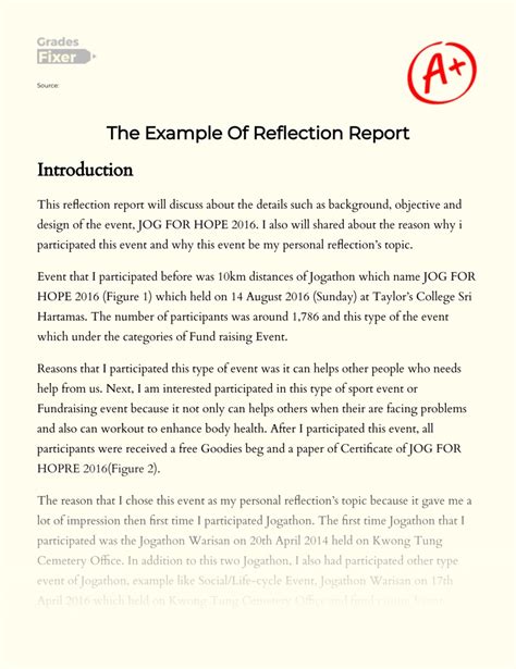 The Example Of Reflection Report Essay Example Words