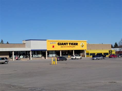 Giant Tiger - 55 Angeline St N, Lindsay, ON K9V 5B7, Canada