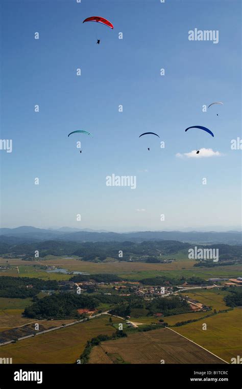 Paragliders Flying Over Rice Fields In Santa Catarina Brazil Stock