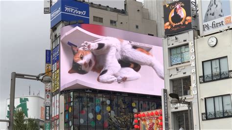 3D Billboards 101 Anamorphic And Forced Perspective OOH 60 OFF