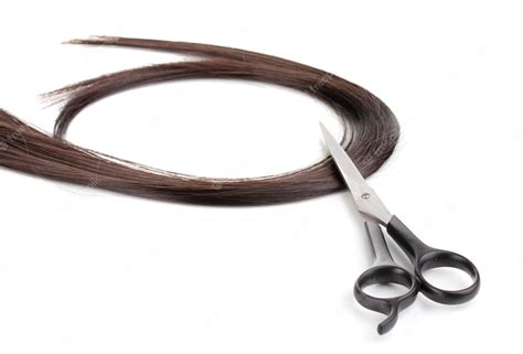 Premium Photo | Shiny brown hair and hair cutting shears isolated on white