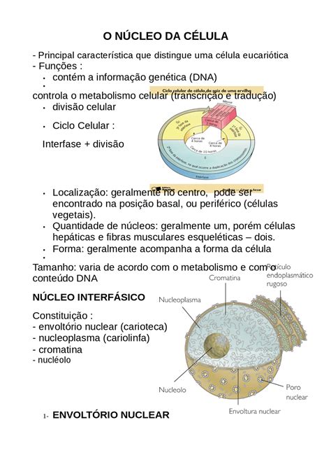 O Núcleo Da Célula O Núcleo Da Célula Docsity