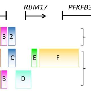 Schematic Representation Of Three Modes Of Actions Where Epigenetic