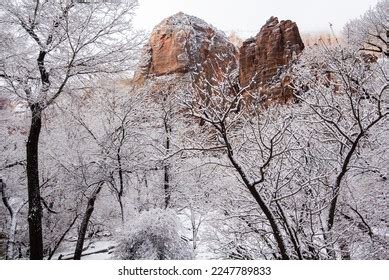 2,284 National Park Zion Snow Images, Stock Photos & Vectors | Shutterstock