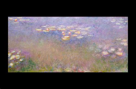 Close Look Claude Monets Water Lilies Saint Louis Art Museum