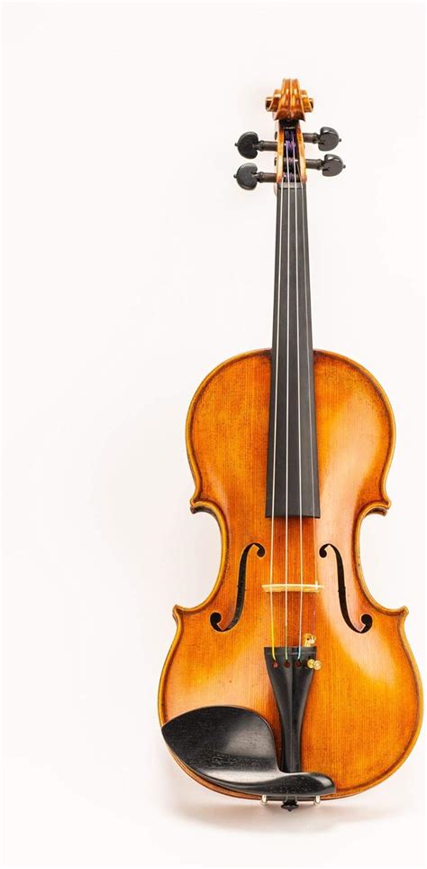 Lady Rose Stradivarius Cello No Tax