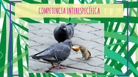 Competencia Interespec Fica By Viera Mar A Mu Oz Malakhava On Prezi