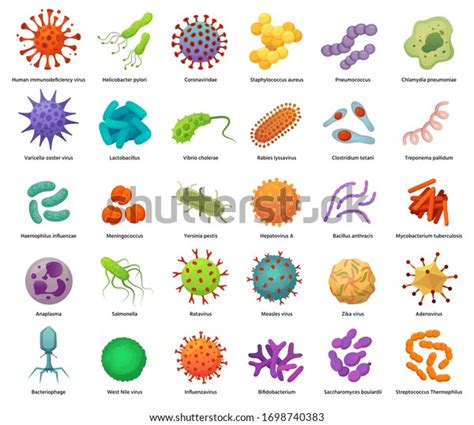 Bacteria Virus Icons Diseasecausing Bacterias Viruses Stock Vector