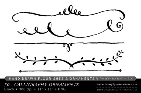 Hand Drawn Calligraphy Ornaments ~ Illustrations on Creative Market