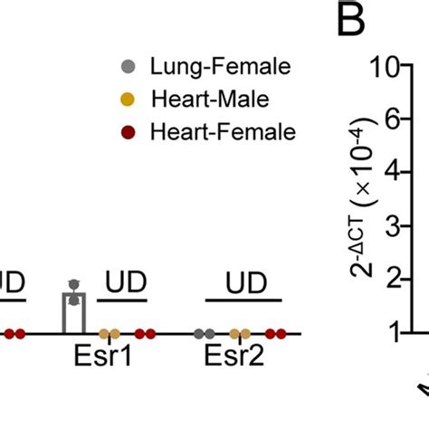 The Levels Of Hormone Receptors On Heart Ilc2s And Il 33 In The Heart Download Scientific