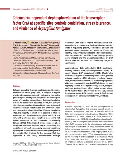 Calcineurindependent Dephosphorylation Of The Transcription Factor