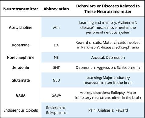 Psychopharmacology Psyc 100 Principles Of Psychology F24