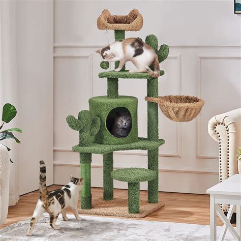 Archie And Oscar™ Burnley 53h Cat Cactus Tree Condo Kitten Tree Tower And Reviews Wayfair