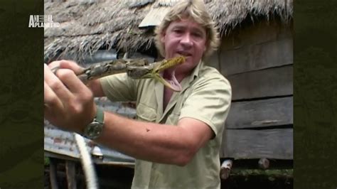 The Crocodile Hunter Best Of Steve Irwin Surfing Snakes Youtube