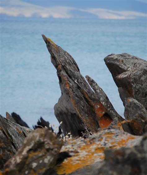 Jagged Near Frenchmans Rock Hog Bay Penneshaw Kangaroo Flickr