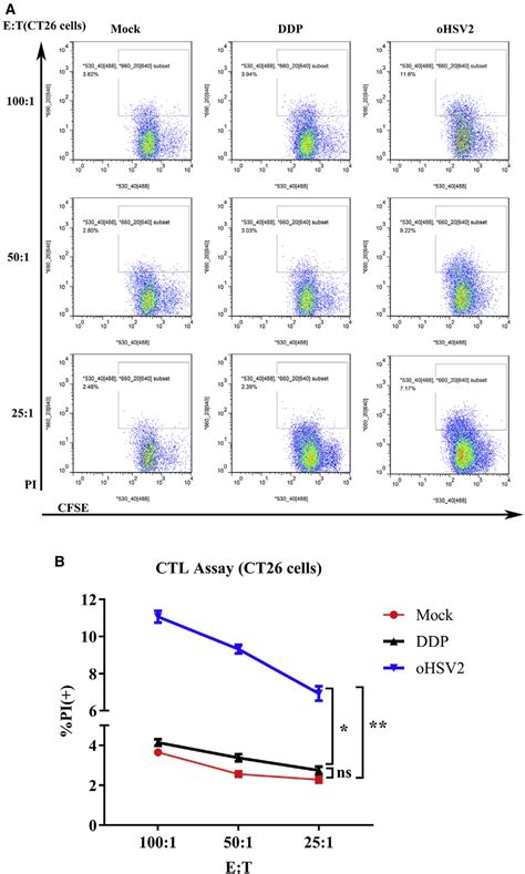 Ctl Assay Splenocytes Harvested From Three Groups Were Cultured In