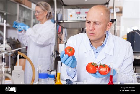 Scientist Checking Fruits And Vegetables For Harmful Elements