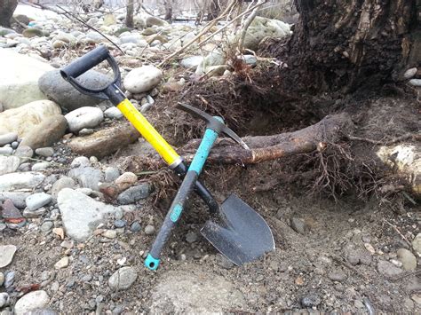 Galleria immagini :: Goldhunter