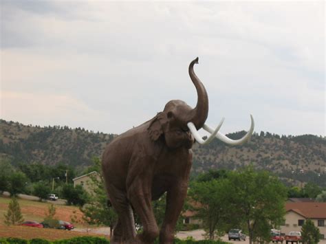 Hot Springs Sd Wooly Mammoth Site Hot Springs South Dakota Photo Picture Image South