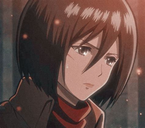 The Best 26 Mikasa Ackerman Aesthetic Aot Pfp