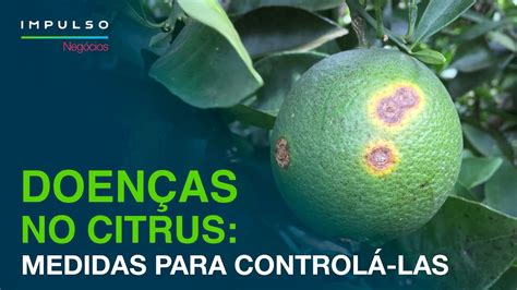 Doenças de Citrus Quais as Principais e Como Realizar o Controle