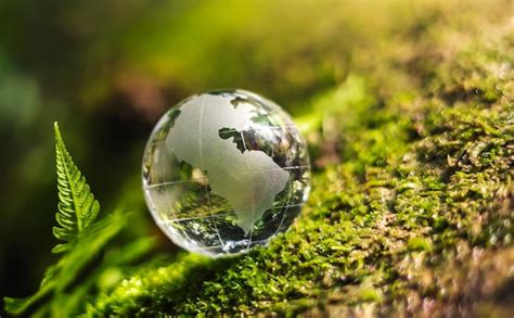 Premium Photo Globe Glass On Grass With Sunshine Environment Concept